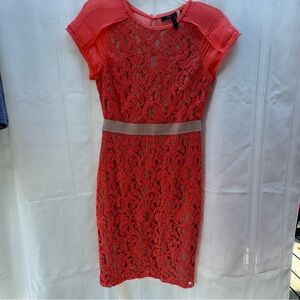 Elegant orange Lace Dress